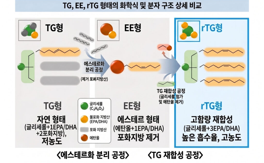 오메가3 rTG·EE·TG 제형별 화학 구조 비교표