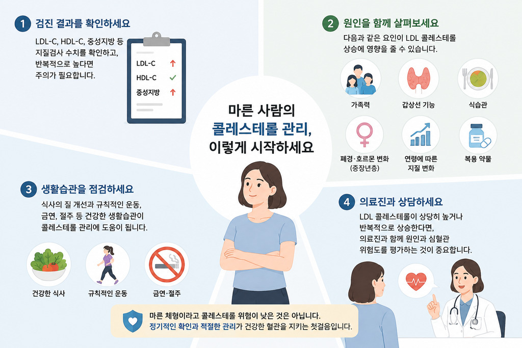 마른 사람들의 콜레스테롤 관리 방법